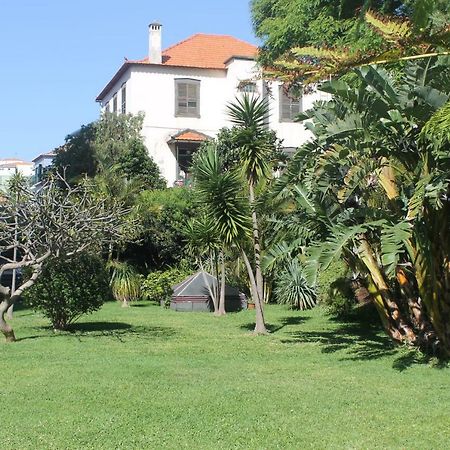 Jasmineiro - Palms Palace Apartment Funchal  Buitenkant foto