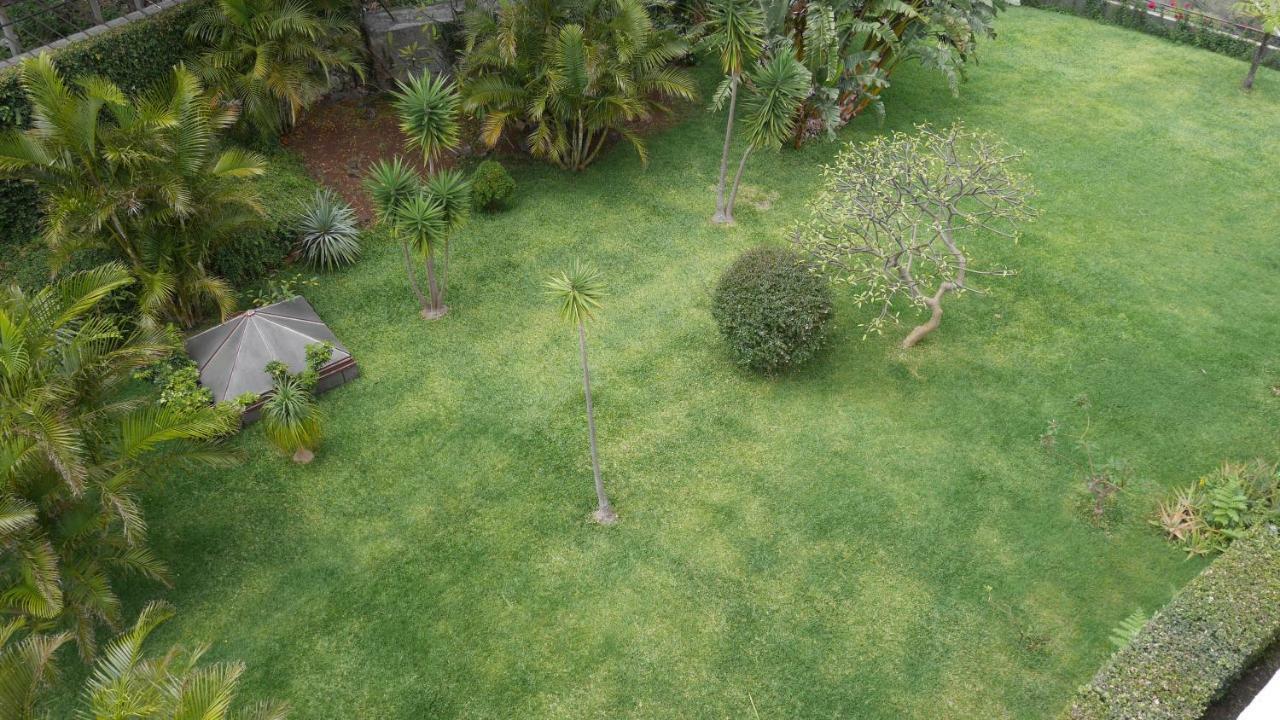 Jasmineiro - Palms Palace Apartment Funchal  Buitenkant foto
